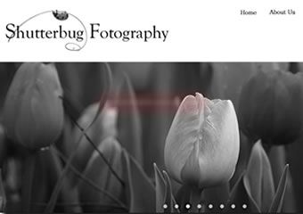 shutterbug fotography
